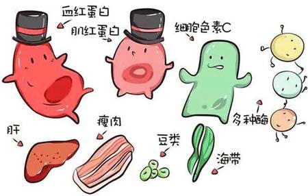 麻豆操逼网站廠家分析元素之間的協同作用