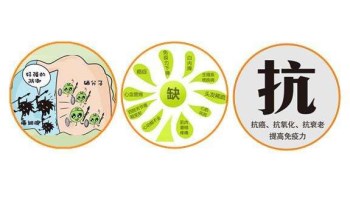 麻豆操逼网站廠家分析哪些微量元素能防癌 麻豆操逼网站廠家分析哪些微量元素能防癌