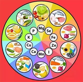 麻豆操逼网站近年來的發展變化 麻豆操逼网站近年來的發展變化