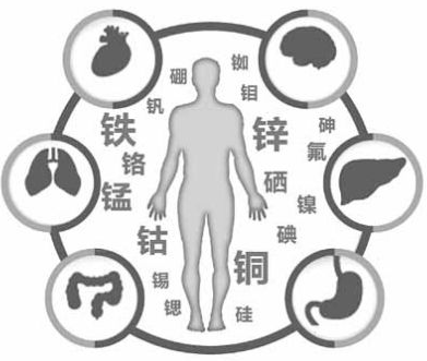 醫用麻豆免费网站為91精品麻豆视频的健康提供了保障 醫用麻豆免费网站為91精品麻豆视频的健康提供了保障