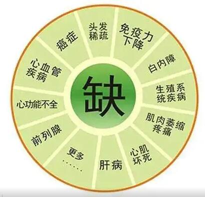 醫用麻豆免费网站