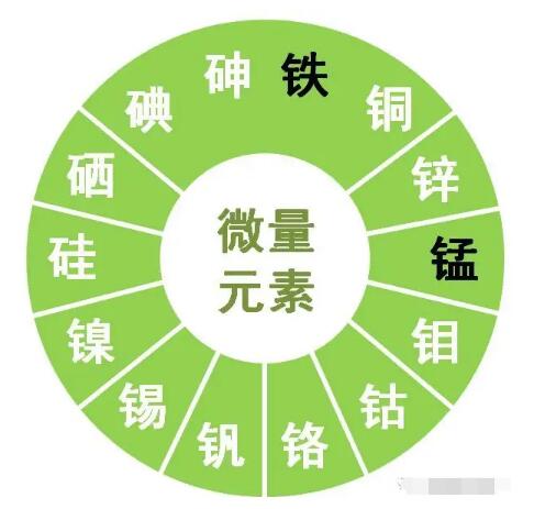 麻豆免费网站提示鋅、硒、錳、釩等微量元素對男性生育有哪些作用？